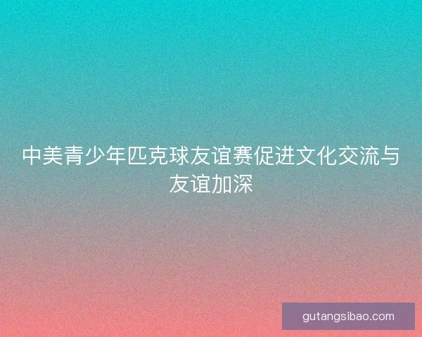中美青少年匹克球友谊赛促进文化交流与友谊加深