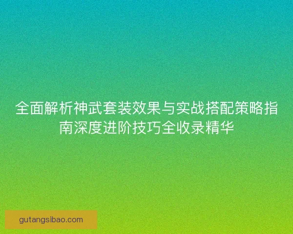全面解析神武套装效果与实战搭配策略指南深度进阶技巧全收录精华