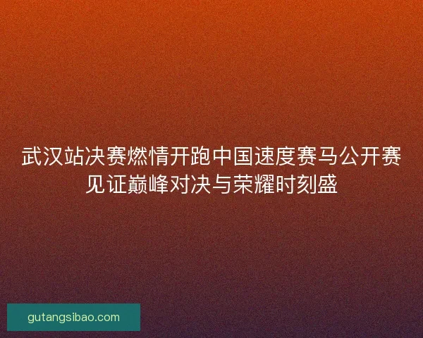 武汉站决赛燃情开跑中国速度赛马公开赛见证巅峰对决与荣耀时刻盛